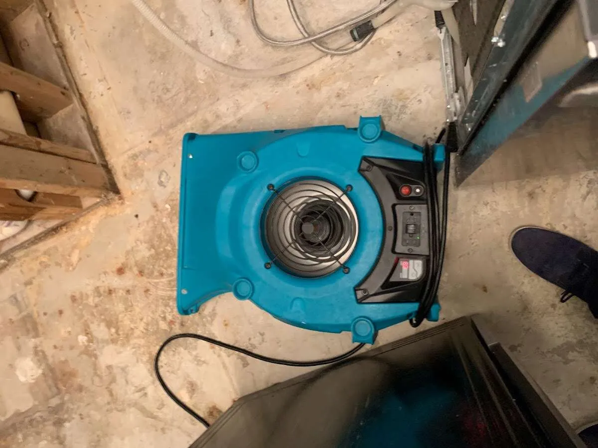 Air mover drying equipment for Mold Remediation & Removal in Woodbury
